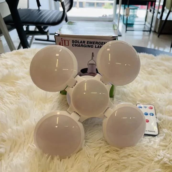 WhatsApp Image 2025-02-08 at 2.50.27 PM