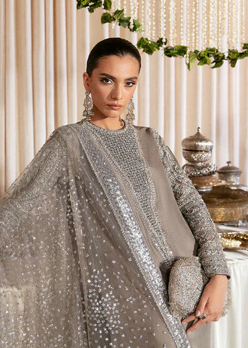 Luxury Grey Raw Silk Formal Suit with Heavy Silver Hand Embellishment, Organza Sleeves, Swarovski Detailing, Net Dupatta with Sequin Border, and Pure Raw Silk Chooridar Pants for Elegant Evening and Festive Wear