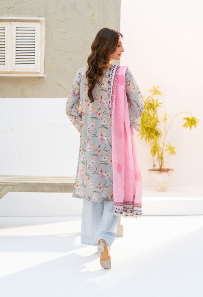 SALINA Chamki Latest Collection Vol-01 2026