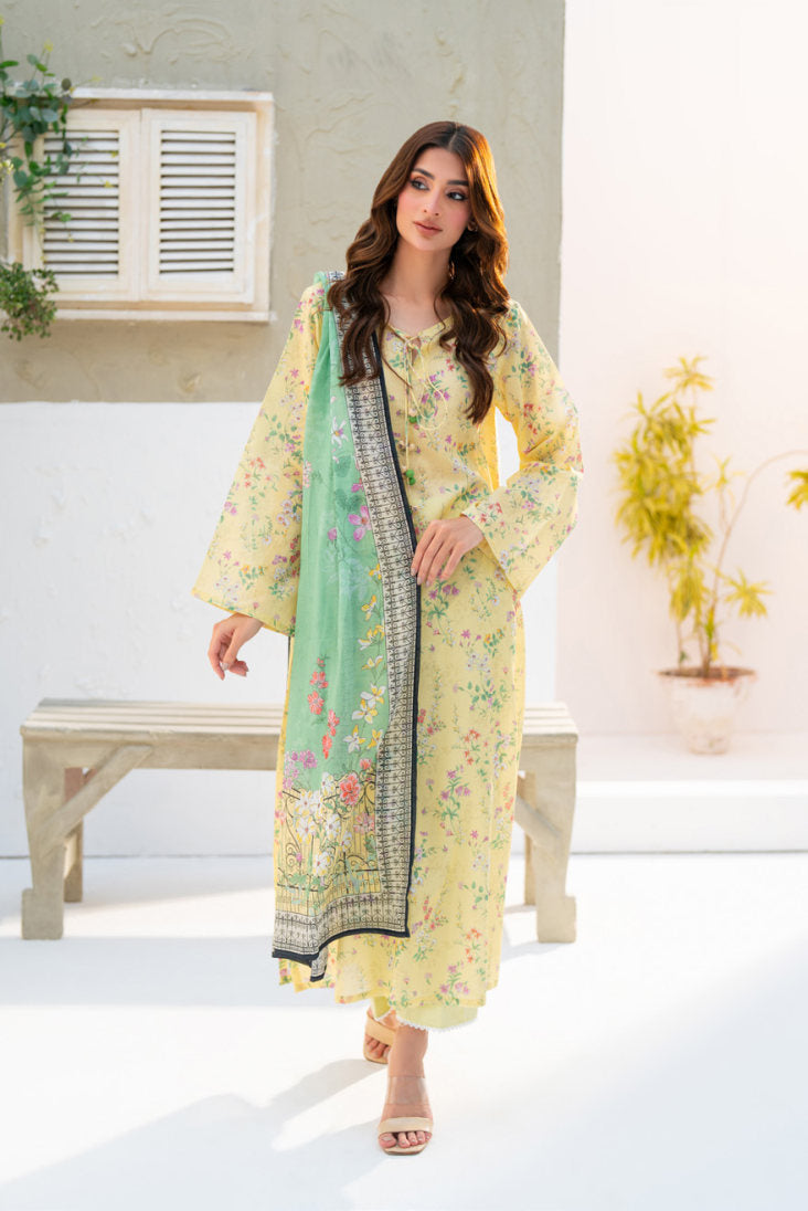 SALINA Chamki Latest Collection Vol-01 2026