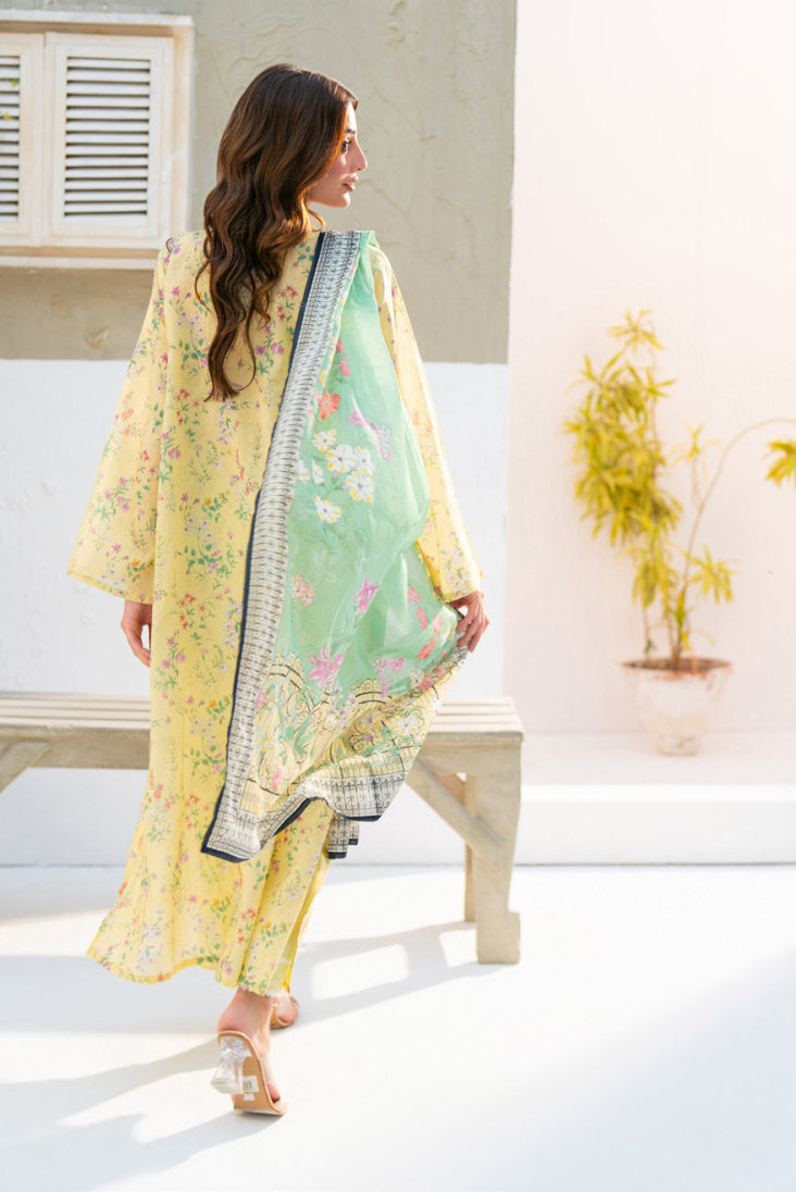 SALINA Chamki Latest Collection Vol-01 2026