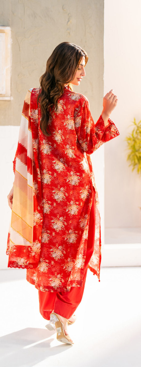 SALINA Chamki Latest Collection Vol-01 2026