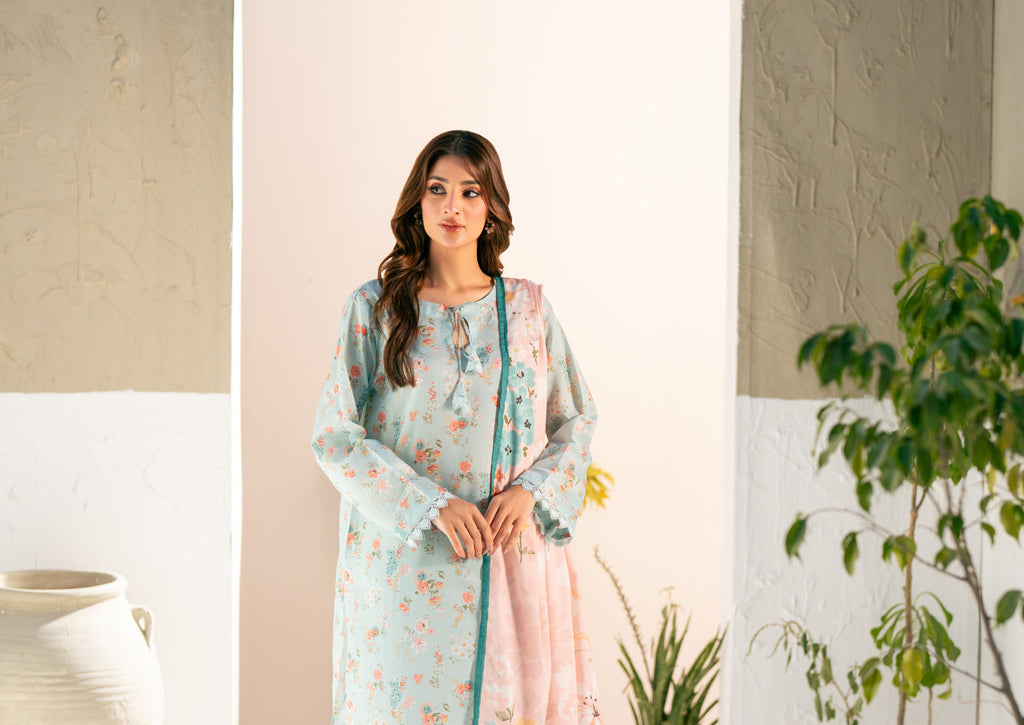 SALINA Chamki Latest Collection Vol-01 2026