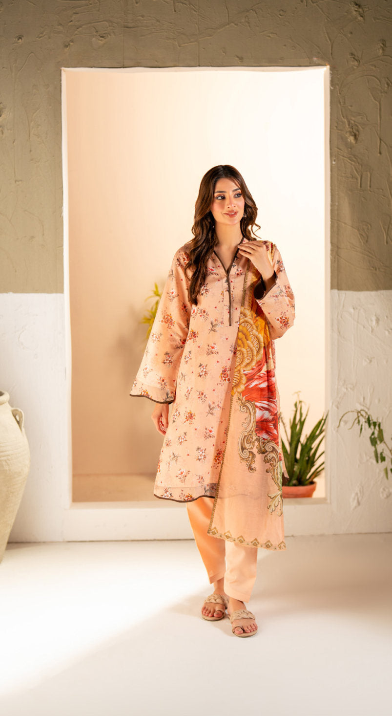SALINA Chamki Latest Collection Vol-01 2026