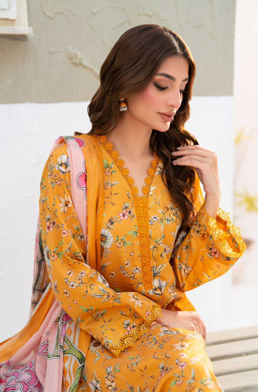 SALINA Chamki Latest Collection Vol-01 2026