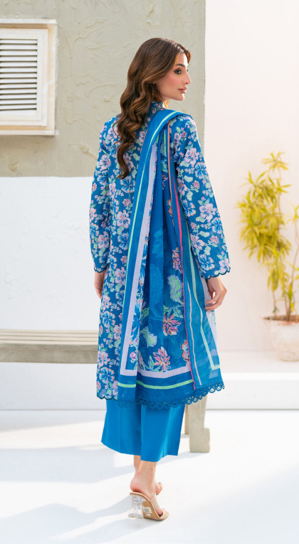 SALINA Chamki Latest Collection Vol-01 2026