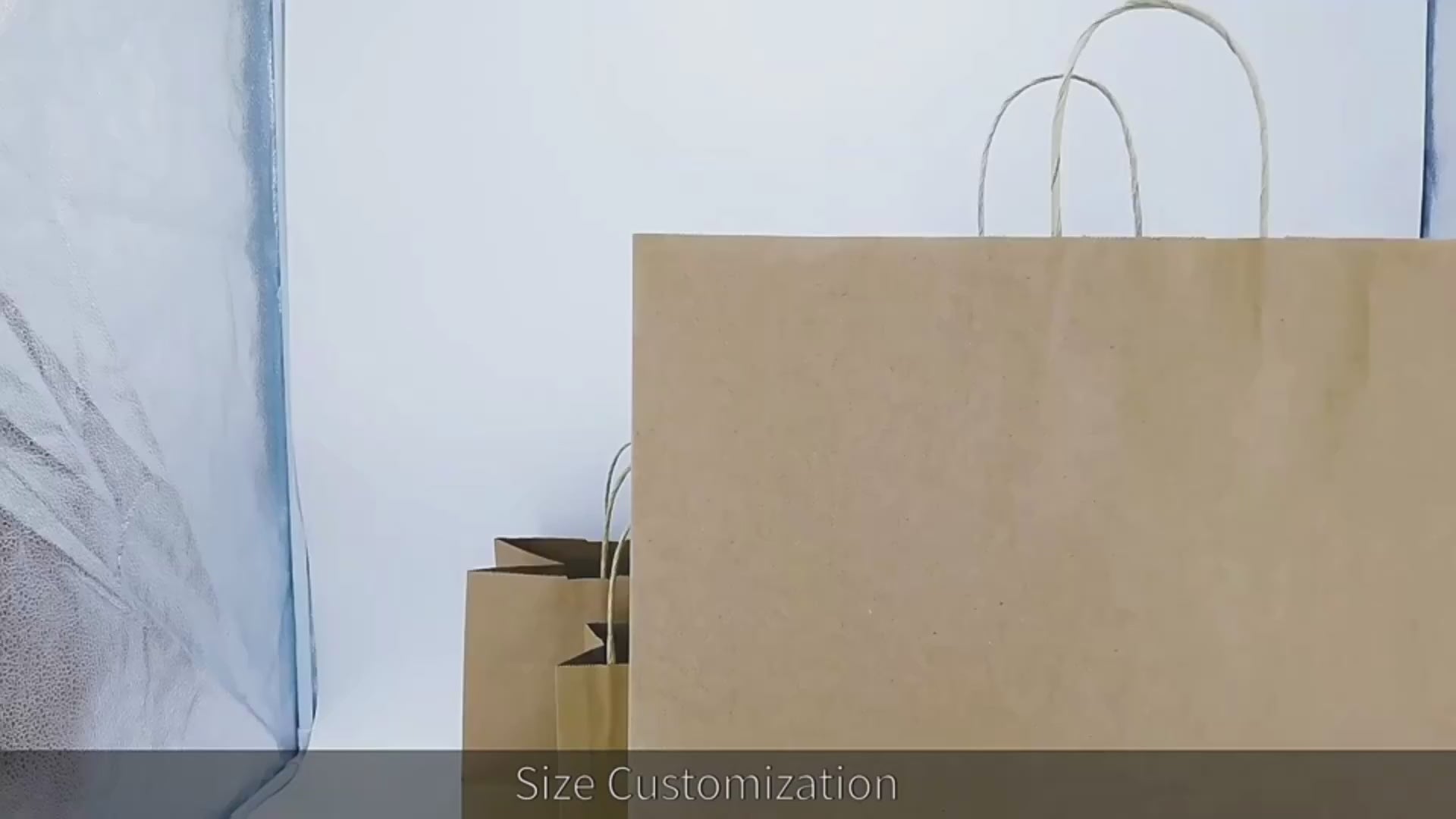 Kraft Paper Bags With Twisted Handles Assorted Sizes Brown Paper Bags For Wedding Party Small Business Shopping Bags