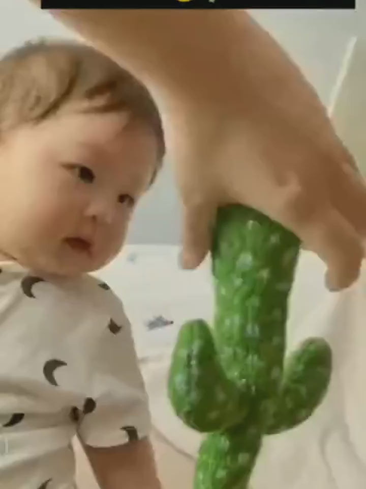 Hot Selling Electric Singing Dancing Saxophone Cactus Toys Recording Plush Toy Singing Dancing Cactus