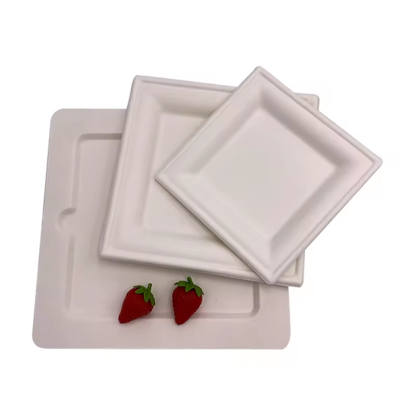 Compostable sugarcane plates Biodegradable bagasse plates Eco-friendly disposable plates Compostable square plates Biodegradable square paper plates Sugarcane bagasse disposable plates Compostable dinner plates Eco-friendly square plates Biodegradable party plates Compostable disposable plates